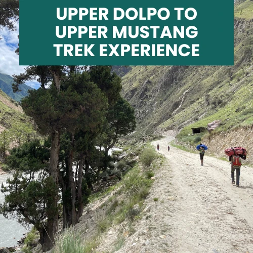 Upper Dolpo Upper Mustang trek experience