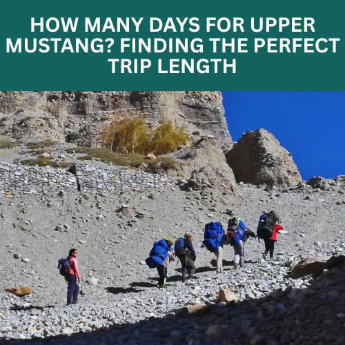 how many days for upper mustang