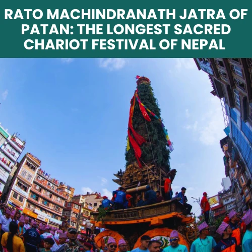 Rato Machindranath Jatra, Nepal