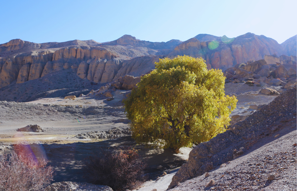 panoramic views during the Damodar Kunda Upper Mustang Trek in the remote Himalayas of Nepal