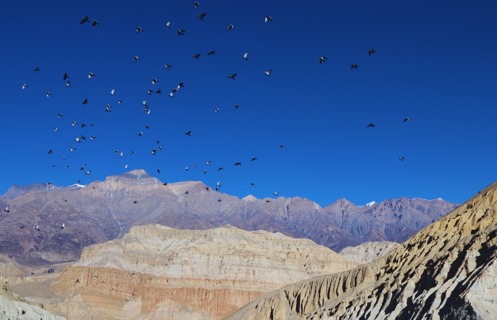 How to Reach Pokhara to Upper Mustang