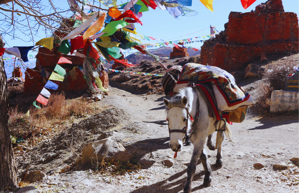 How to reach Upper Mustang from Kathmandu