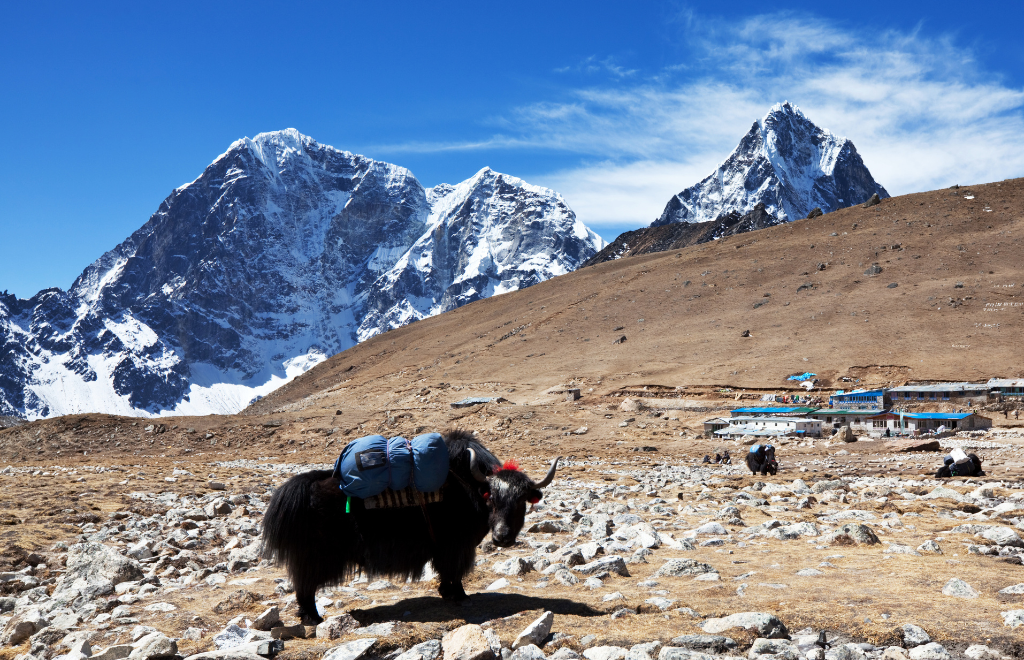 view of the himalays during tihar in nepal