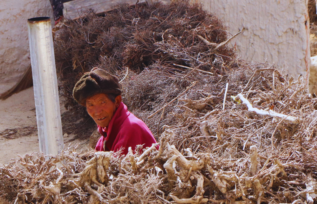 Upper Mustang vs Lower Mustang