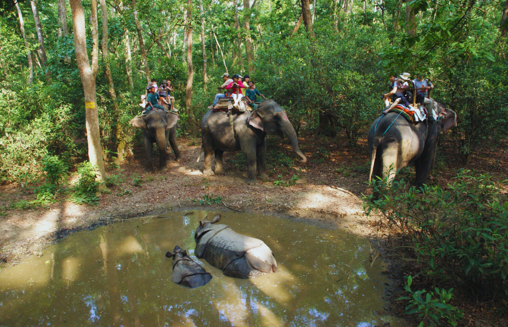 Tourists enjoying elephant safari and wildlife spotting at Chitwan National Park, Nepal