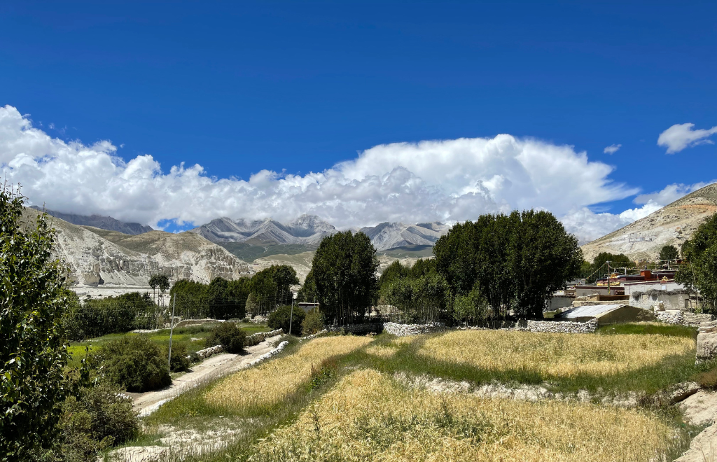 mustang region weather climate guide