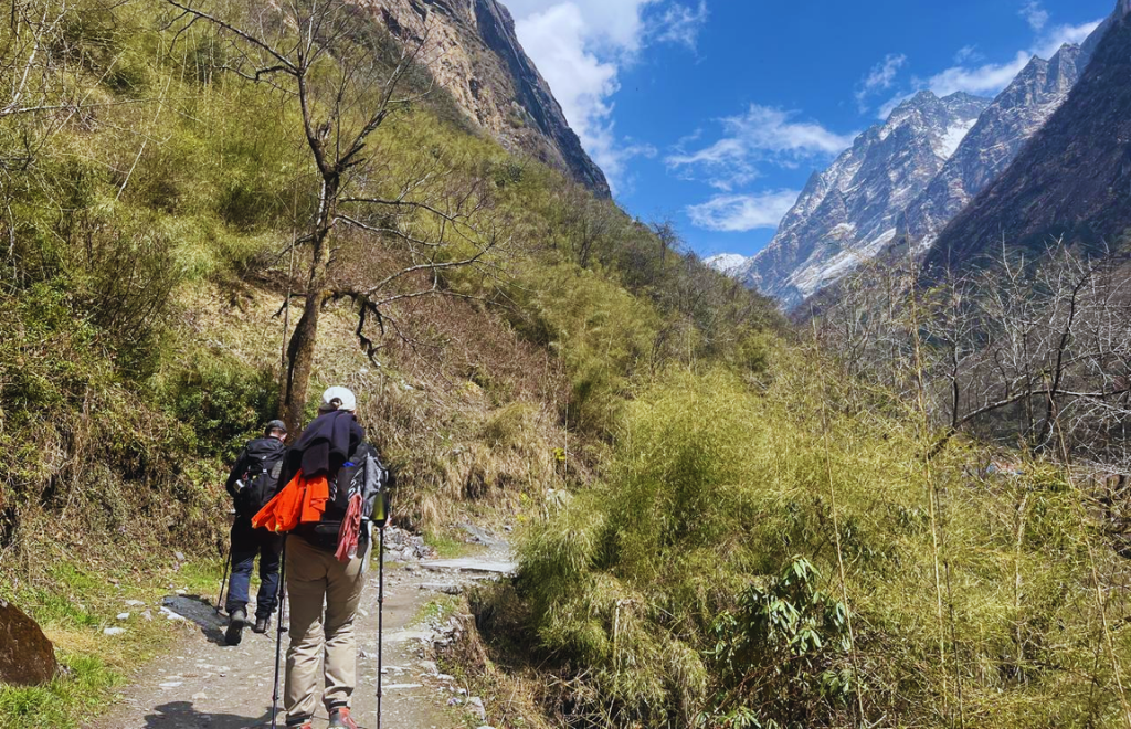 trekkres trekking in the trail of restricted area of Nepal